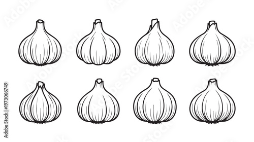 Garlic illustration simple line drawing repetitive pattern food ingredient white background