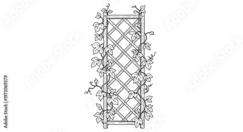A detailed sketch of a garden trellis adorned with climbing vines and leaves