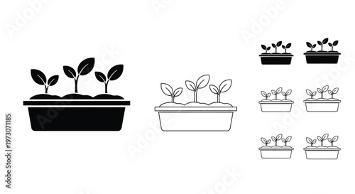 Black and white illustration of seedlings growing in rectangular containers