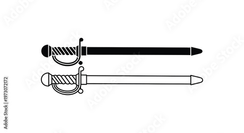 Two antique rapiers displayed horizontally a striking black silhouette high quality