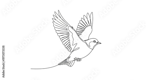 Delicate line art depicts a bird with outstretched wings in mid-flight