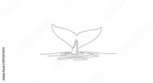 Minimalist grey outline of a whale's tail fluke emerging from water
