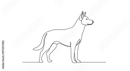 A minimalist, single-line drawing of a dog standing attentively