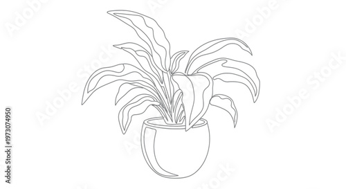A minimalist line drawing of a potted plant with many long, flowing leaves