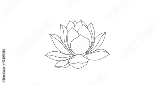 Elegant grey outline of a blooming lotus flower against a pure white background