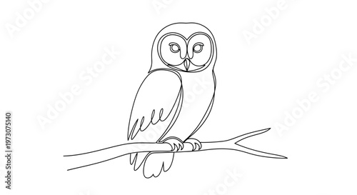 Minimalist single-line drawing of an owl perched on a branch