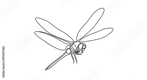 Delicate line art of a dragonfly in flight, wings spread wide