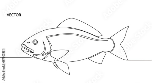 Clean, minimalist line art vector drawing of a fish