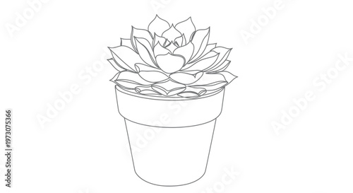 Outline of a potted succulent with layered petals