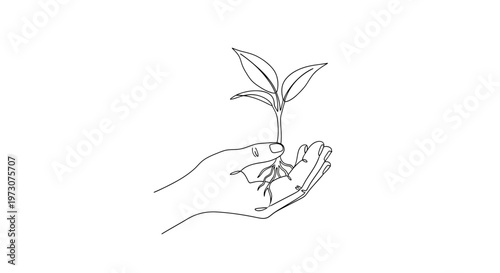 Delicate line drawing of a hand cradling a seedling with visible roots
