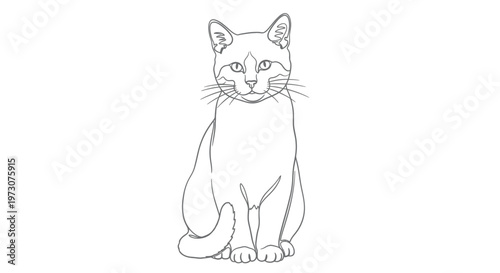 A minimalist, grey line drawing of a seated cat facing forward