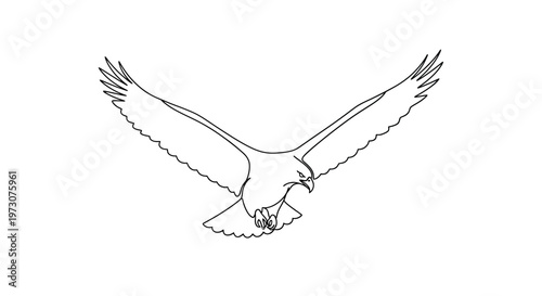 A stark black line drawing of a bird of prey with wings spread in mid-flight