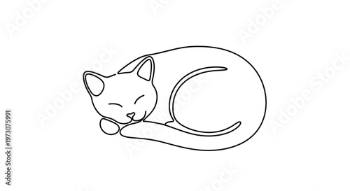 Minimalist outline of a content cat curled up asleep