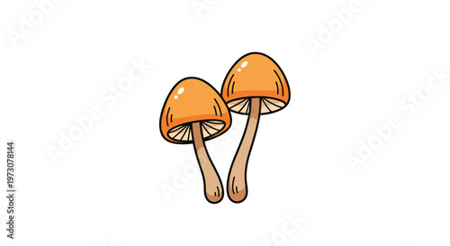 Pair of orange wild mushrooms with tall slender stems growing together in a simple and colorful illustration.