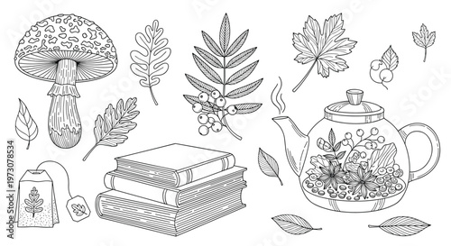 Detailed line art collection of autumn items featuring a mushroom, fall leaves, a teapot, and a stack of books.