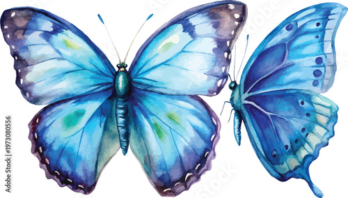Watercolor Blue Morpho Butterfly Illustration, Tropical Butterfly Clipart, isolated on white background