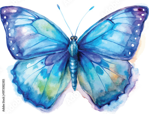 Watercolor Blue Morpho Butterfly Illustration, Tropical Butterfly Clipart, vector illustration isolated on white background