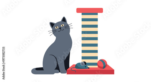 Domestic grey cat sitting patiently next to a colorful striped scratching post with a toy mouse and ball on white.