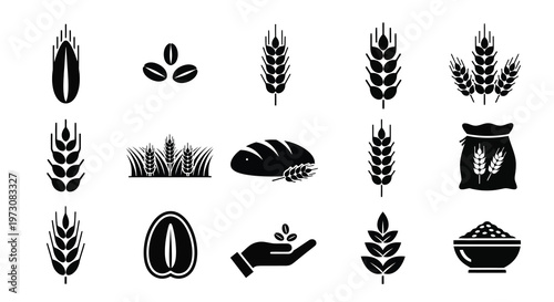 Black and white illustration of various wheat grain and bread elements