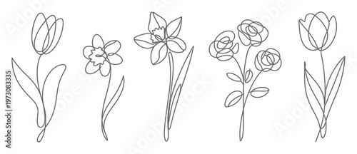 Hand Drawn Floral Line Art Vector Illustration