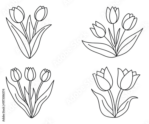 Tulip Flower Bouquet Line Art Vector Illustration