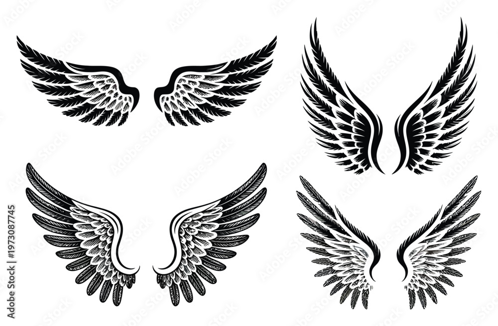 Fototapeta premium Wing Vector Illustrations, Angel Wings, Feathered Wings Vector