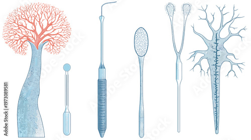 Artistic depiction of biological structures including a tree, tools, and cellular formations