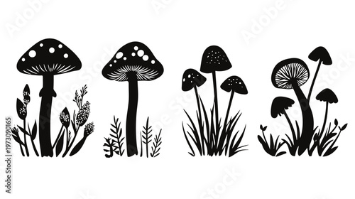 Black and white illustration of various mushrooms and plants on a white background