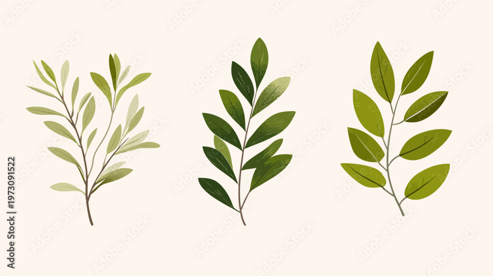 Fototapeta premium Three stylized, watercolor-style sprigs of greenery in varying shades of green on a neutral background