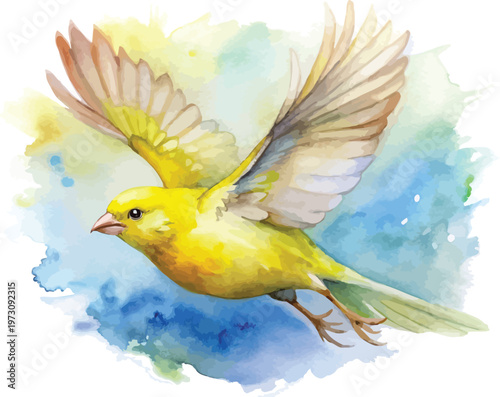 Watercolor Canary Illustration, Bright Yellow Pet Bird Art, isolated on white background