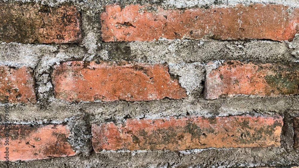Obraz premium brick wall texture