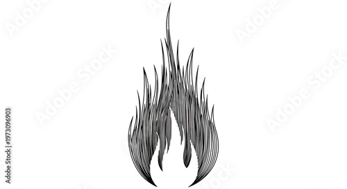 Stylized black flames with radiating lines on a white background