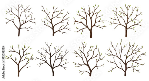 Multiple bare spring tree vector graphic illustrations featuring tiny green buds on thin brown branches