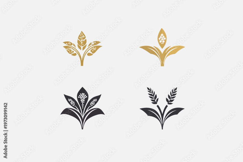 Fototapeta premium Four stylized botanical illustrations with elegant, organic forms. Gold and black on a white background