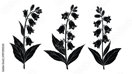 Black and white silhouette of bluebell flowers with leaves, elegant botanical floral vector illustration set on a plain white background.