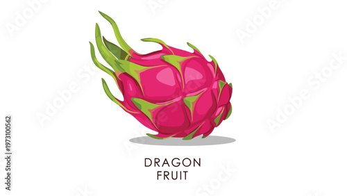 Vibrant dragon fruit illustration with pink skin and green scales, tropical exotic fruit vector isolated on a white background with text.