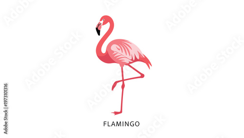 Graceful pink flamingo illustration standing on one leg with the word flamingo written below it in a minimalist style on white background.