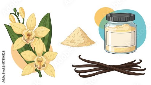 Set of vanilla themed illustrations including orchid flowers, vanilla beans, a pile of powder, and a glass jar on a white background.