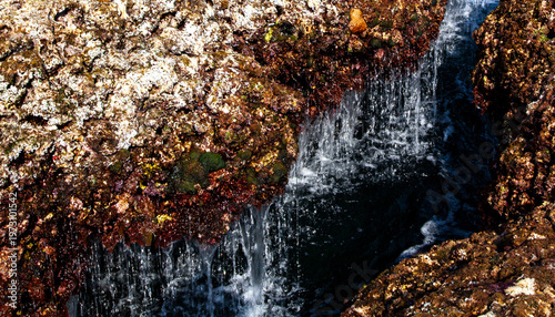 日本の離島、奄美大島に広がる豊かなサンゴ礁の景観。
