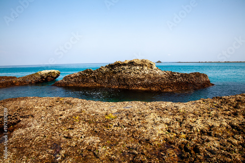 日本の離島、奄美大島に広がる豊かなサンゴ礁の景観。