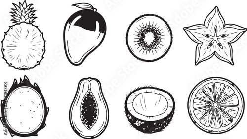 An illustrated guide showcasing the life cycle and structure of a mushroom Vector