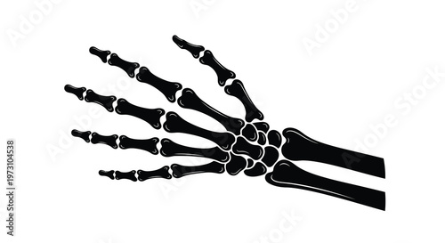 A stark black and white illustration depicts a human hand skeleton showcasing the bones of the wrist palm and fingers in detail high quality