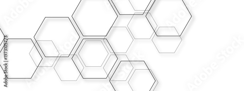 Vector Hexagonal pattern abstract style composed with geometric shapes and grey color gives a modern digital look and artistic design creates a sense of technology and aesthetic value