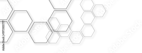 Vector Hexagonal geometric abstraction with intricate cell structure signifies abstract designs for science background, seamless futuristic patterns and digital innovation.