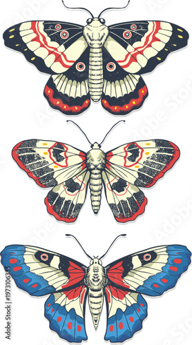 Vector Realistic Colored Butterfly Set with Detailed Wing Patterns