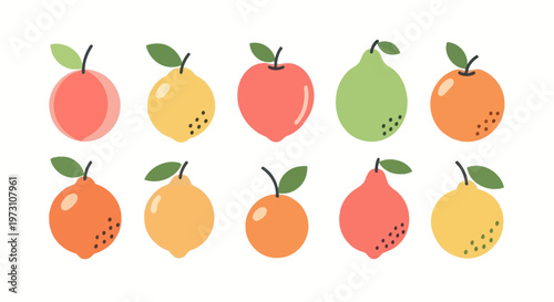 Illustration of assorted colorful citrus and apples on display