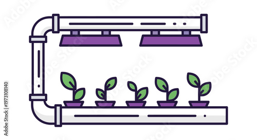 An indoor hydroponic system with several small plants growing under LED grow lights on a long tray with pipes.