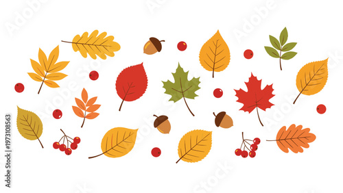 Beautiful assortment of scattered autumn leaves in various warm colors and small red berries, representing the vibrant fall season.
