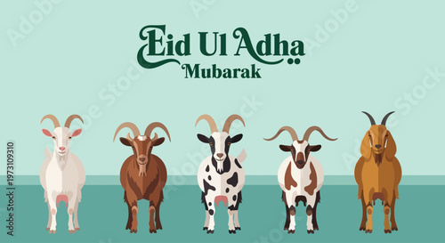Eid Ul Adha celebration with five goats standing together outdoors