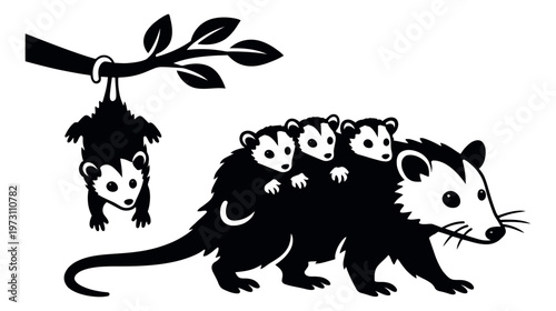 Graphic illustration of an opossum family depicting a mother carrying babies and one hanging from a tree branch for wildlife themes